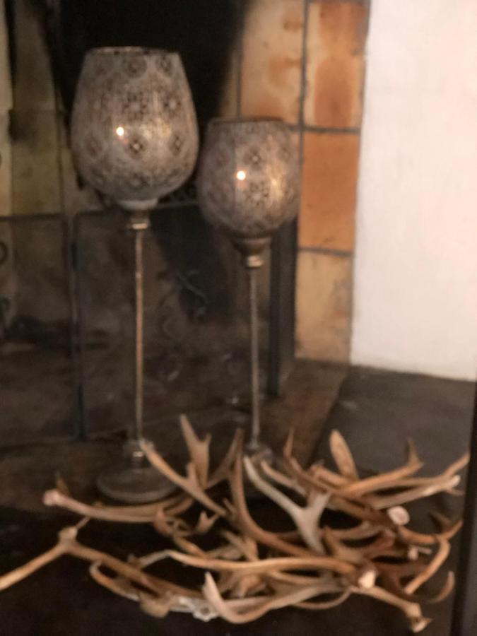 Marsfjaell Mountain Lodge Hotell I Saxnaes Dış mekan fotoğraf